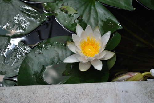 mediterraneo57's profile picture. 