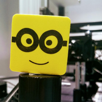 St-Pierre Lab (@stpierrelab) 's Twitter Profile