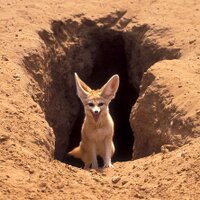 Errikos Mamais (@dmentax) 's Twitter Profile