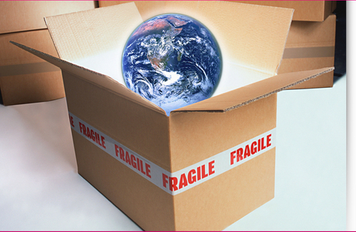 intrmovingcr's profile picture. We staff an experienced team of international movers who will help you to streamline the entire process of relocating to a new country.