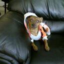 Amy Ervin - @AmyLErvin - Twitter