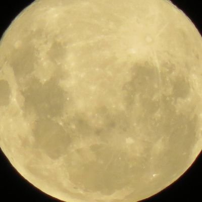 Tiritirimatangiさんのプロフィール画像