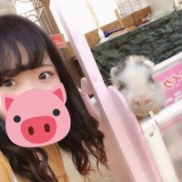 Haruna❥❥ (@_pmpmprns2_) 's Twitter Profile