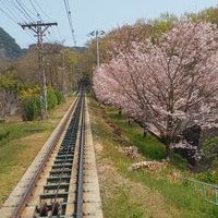 かず~ (@kazumatu1973) 's Twitter Profile Photo