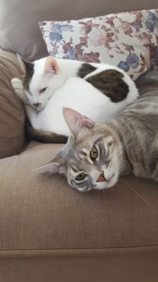 64Berna's profile picture. BOUN