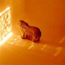 James Monsees - @james_monsees - Twitter