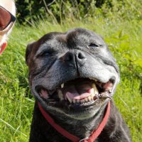 Halfords (@halfords7) 's Twitter Profile