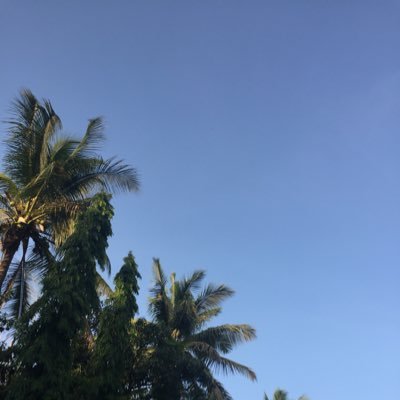 MRenavikar's profile picture. Constant mess Not really funny Here for the drama ☕️