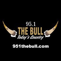 95-1 The Bull Profile