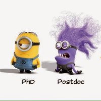 Postdoc Predoc Opportunities (@postdoco) 's Twitter Profile