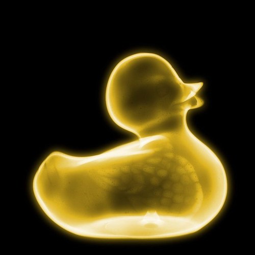 gaaa_black's profile picture. 随分と昔に作ったまま。アカウントあった事も忘れてたくらい放置してました😅呟き少なめかもですが。宜しくお願いしますね🥰