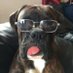 John Dwan (@john_dwan) Twitter profile photo John Dwan (@john_dwan) Twitter profile photo