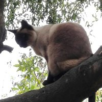 @misio%nera💯🌴 (@martugonz) 's Twitter Profile