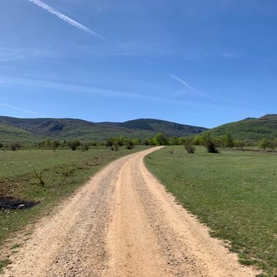 joselui74323028's profile picture. 