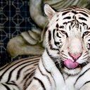 Caryn May - @SurprisePackage - Twitter