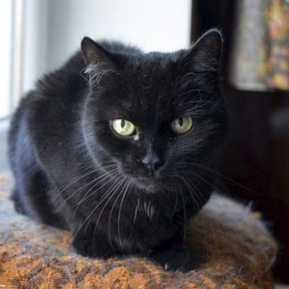 amatermocinky's profile picture. Občas nechápu, kde se stala chyba
@edgeI0rd