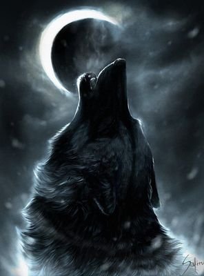 A wolf finding his way through the sexy and dark side of twitter.