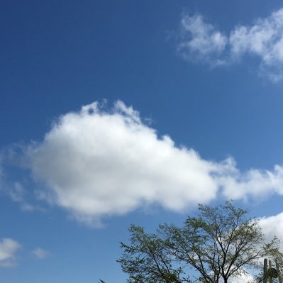 雲が好き 空が好き 不真面目に憧れている