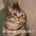 民工出租房 (@9rnozmnfk73dmm8) Twitter profile photo 民工出租房 (@9rnozmnfk73dmm8) Twitter profile photo