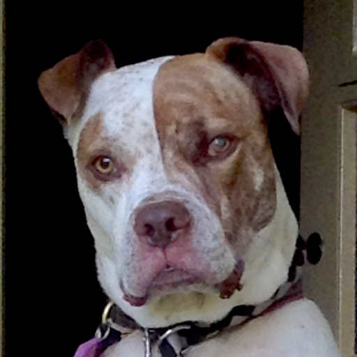 notsadlerswells's profile picture. 🚫 @CanalRiverTrust has blocked me so blocked from engaging with them. I cannot follow or message @CanalRiverTrust.