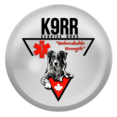 K9RR_SD's profile picture. Veteran Run Not For Profit Org., dedicated to providing highly skilled & effective Service Dogs 🐕 to injured Vets (Military & RCMP) & 1st Responders