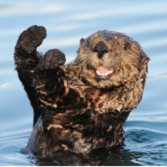 Otterbob1's profile picture. Streamer and Memelord in the meanwhile. Feel free to follow and share!