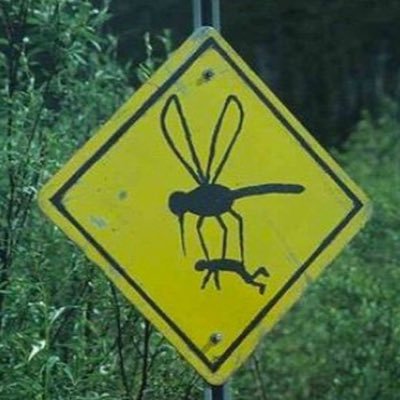 komar220391's profile picture. 