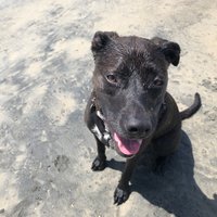 mynd (@mynsjunk) 's Twitter Profile