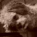 daniel higa - @dani_akimi - Twitter