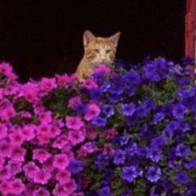 Re1415ma's profile picture. .