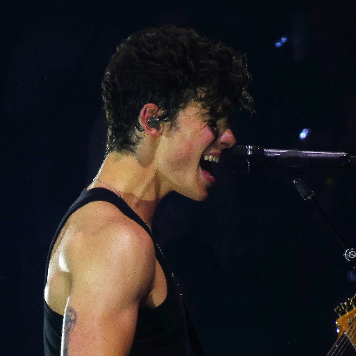 donnaluvscfc's profile picture. 