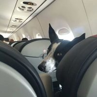 Друг_этот самый человек (@ven590) 's Twitter Profile