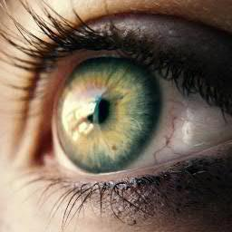 LeetDemon's profile picture. // Underground 1337 ;