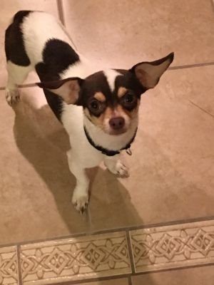 Sarahpiscesfish's profile picture. Believe