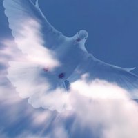 Kennedy m busby (@kennedybusby) 's Twitter Profile