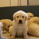 Emma Kate Laird - @Pemby_7 - Twitter