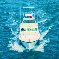 Russell Young (@seawolfefishing) 's Twitter Profile