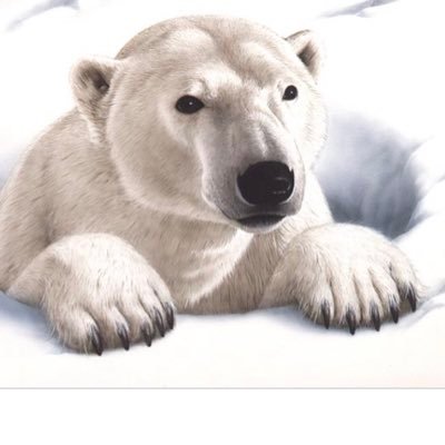 シロクマ レイ しろくま シロクマレイ ストリートピアノ In 浜松市 人生初 のグランドピアノ演奏をしました シロクマレイ ピアノフリー T Co Lxpj5kyhlb Youtubeより 株式会社 河合楽器製作所 の社員さんにもぜひこの動画を観て