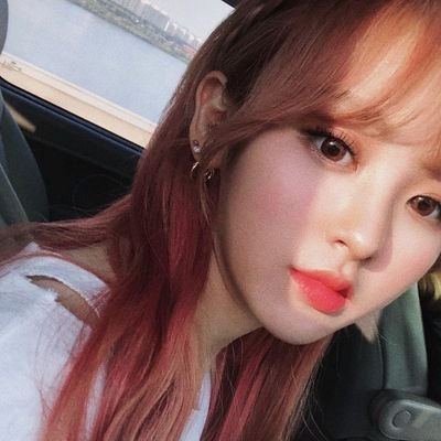 UNITberry's profile picture. for UNB and UNI.T