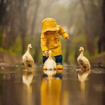 SunTimor's profile picture. Great Love happens once in your life.