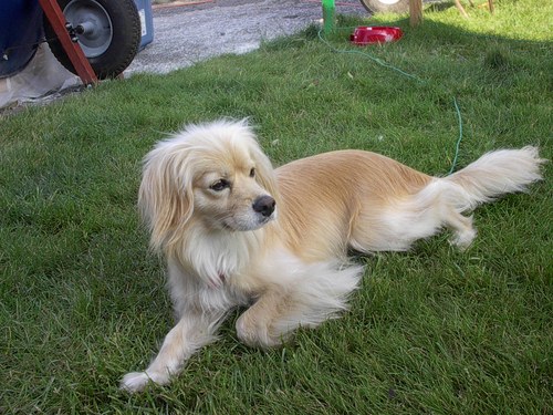 Sandyqkins's profile picture. ugh