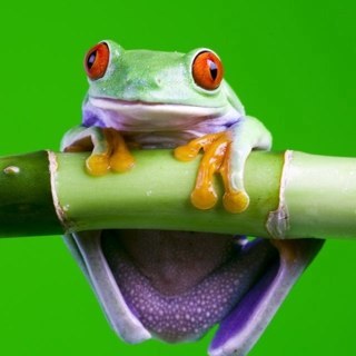 urashiman1973's profile picture. keep on green   アマチュア 登山家