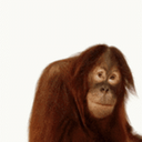 colin best - @sharky4000 - Twitter