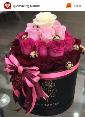 AlfiyaimranKha8's profile picture. house wife