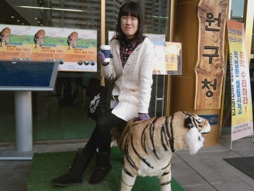 hellokyungrim's profile picture. 