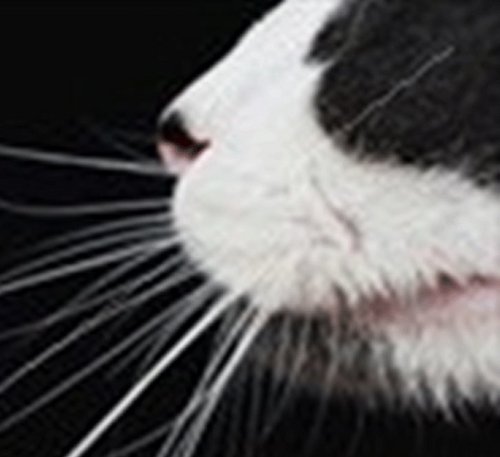 katehoggard's profile picture. 