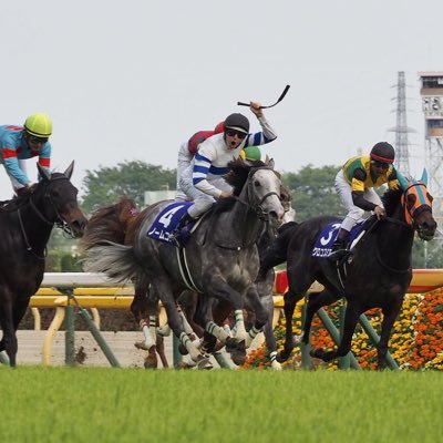 競馬が好きです🐎でも当たらないとです😭