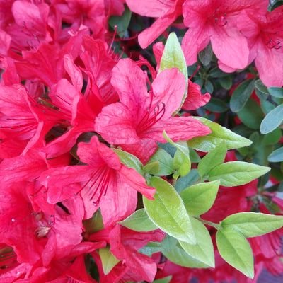 S2F8xYDgzvMv8A4's profile picture. 긍정