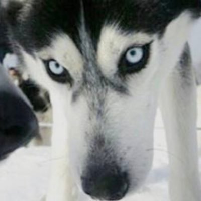 れおんのプロフィール写真