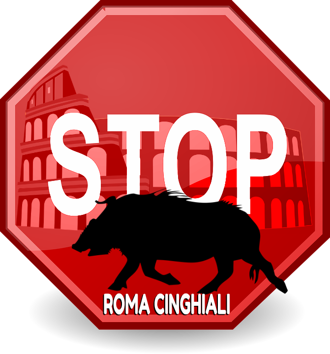 Roma Cinghiali è la comunità che si unisce perché stanca di subire continui attacchi dai cinghiali e l’indifferenza degli enti responsabili.